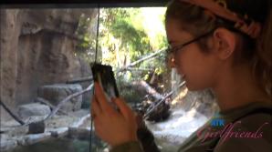 Meloni Moon La Jolla Part 3